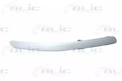 5703-05-8161922P BLIC Облицовка / защитная накладка, буфер