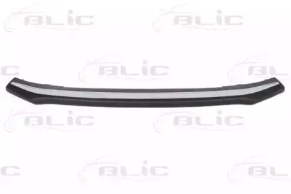 5703-05-8178920P BLIC Облицовка / защитная накладка, буфер