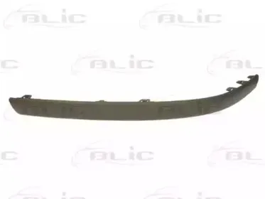 5703-05-9021922P BLIC Облицовка / защитная накладка, буфер