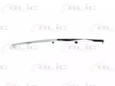 5703-05-9539925P BLIC Облицовка / защитная накладка, буфер