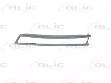 5703-05-9540921P BLIC Облицовка / защитная накладка, буфер