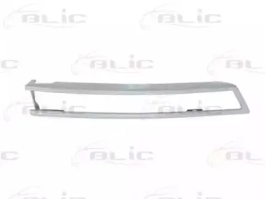 5703-05-9540922P BLIC Облицовка / защитная накладка, буфер