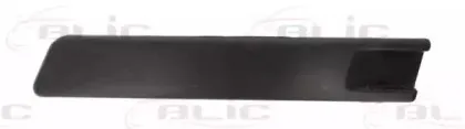 5703-05-9540925P BLIC Облицовка / защитная накладка, буфер