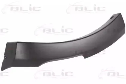 5703-08-1303376P BLIC Облицовка / защитная накладка, крыло