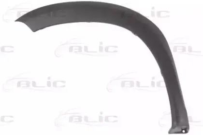 5703-08-1305377P BLIC Облицовка / защитная накладка, крыло
