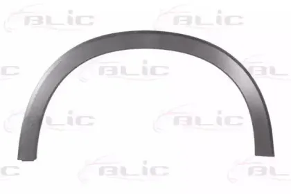 5703-08-2950376P BLIC Облицовка / защитная накладка, крыло