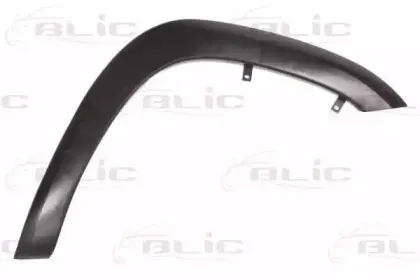 5703-08-8179376P BLIC Облицовка / защитная накладка, крыло