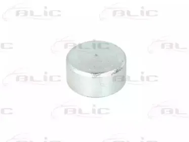 6003-00-0005P BLIC Направляющая ролика, сдвижная дверь