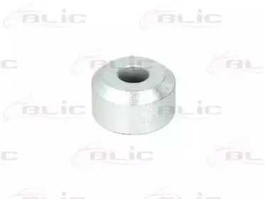 blic-6003000005p