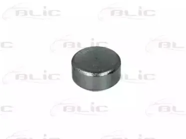 6003-00-0011P BLIC Направляющая ролика, сдвижная дверь