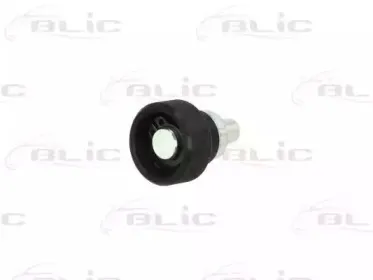 6003-00-0019P BLIC Направляющая ролика, сдвижная дверь