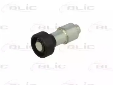 6003-00-0022P BLIC Направляющая ролика, сдвижная дверь