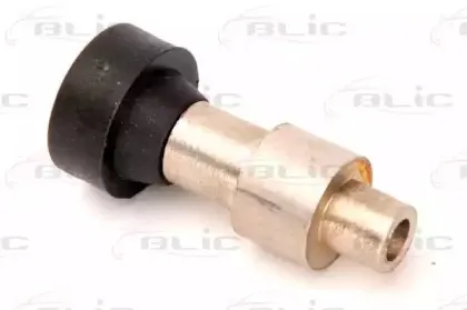 6003-00-0062P BLIC Направляющая ролика, сдвижная дверь