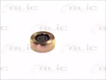 6003-00-0072P BLIC Направляющая ролика, сдвижная дверь