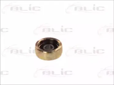 blic-6003000072p