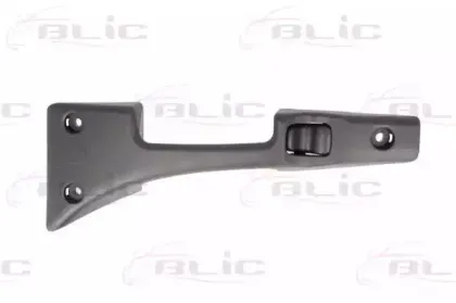 6010-02-065410WP BLIC Ручка двери