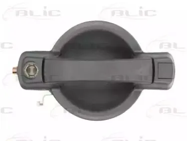 6010-07-029401P BLIC Ручка двери