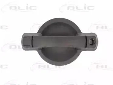 6010-07-029410LP BLIC Ручка двери