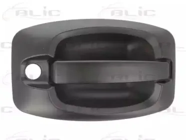 6010-07-038401P BLIC Ручка двери