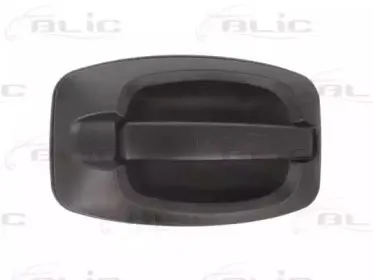 6010-07-038402P BLIC Ручка двери