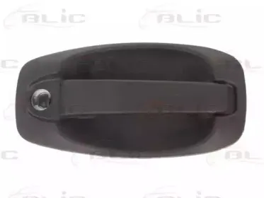 6010-07-043417P BLIC Ручка двери