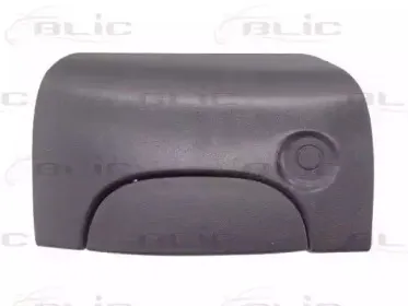 6010-09-029417PP BLIC Ручка двери