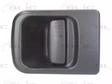 6010-09-032417P BLIC Ручка двери