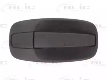 6010-09-041410P BLIC Ручка двери