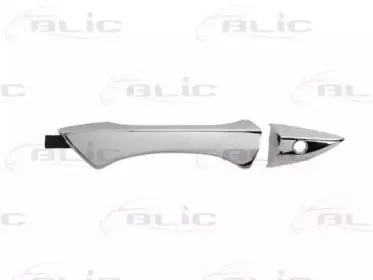 6010-12-055401P BLIC Ручка двери