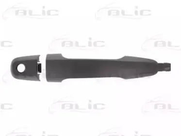 6010-15-041405PP BLIC Ручка двери