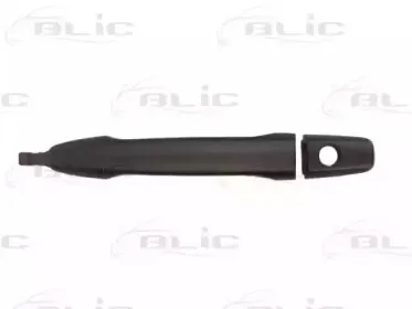 6010-15-051401P BLIC Ручка двери