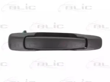 6010-17-008404P BLIC Ручка двери