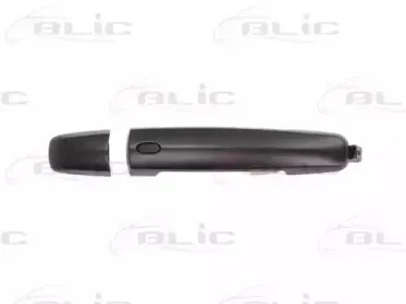 6010-18-021402CP BLIC Ручка двери