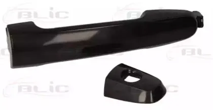 6010-19-059401P BLIC Ручка двери