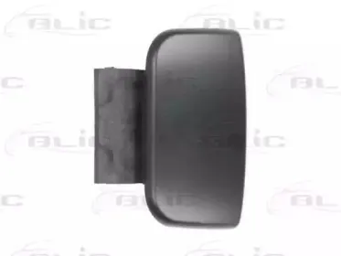 6010-21-015405P BLIC Ручка двери