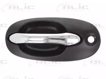6010-53-012402P BLIC Ручка двери