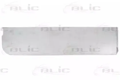 6013-00-2509723P BLIC Задняя дверь