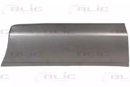 6015-00-1108151P BLIC Дверь, кузов