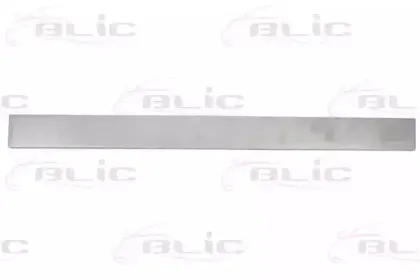 6015-00-2092120P BLIC Дверь, кузов