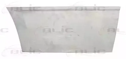 6015-00-2509121P BLIC Дверь, кузов