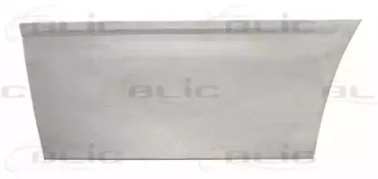 6015-00-2509122P BLIC Дверь, кузов
