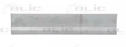 6016-00-2094154P BLIC Задняя дверь