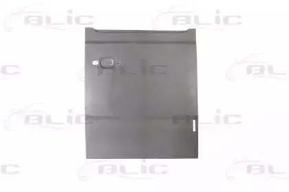 6016-00-3545154P BLIC Задняя дверь