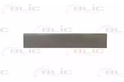 6016-00-3546157P BLIC Задняя дверь