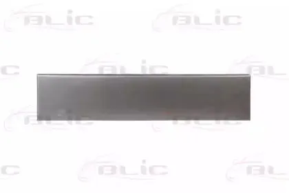 6016-00-5022151P BLIC Задняя дверь