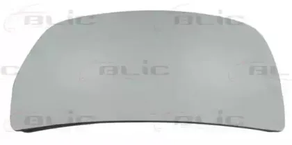 blic-6102021212229