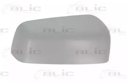 6103-01-1298398P BLIC Корпус, наружное зеркало
