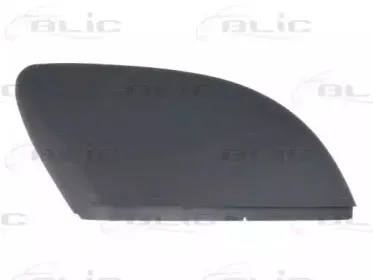 6103-01-1312516P BLIC Покрытие, внешнее зеркало