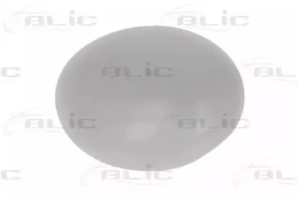 6103-05-2001842P BLIC Корпус, наружное зеркало