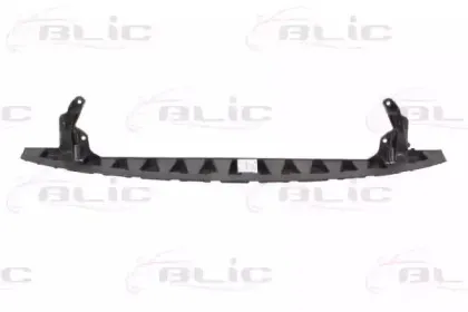 6502-03-9524231P BLIC Носитель, буфер